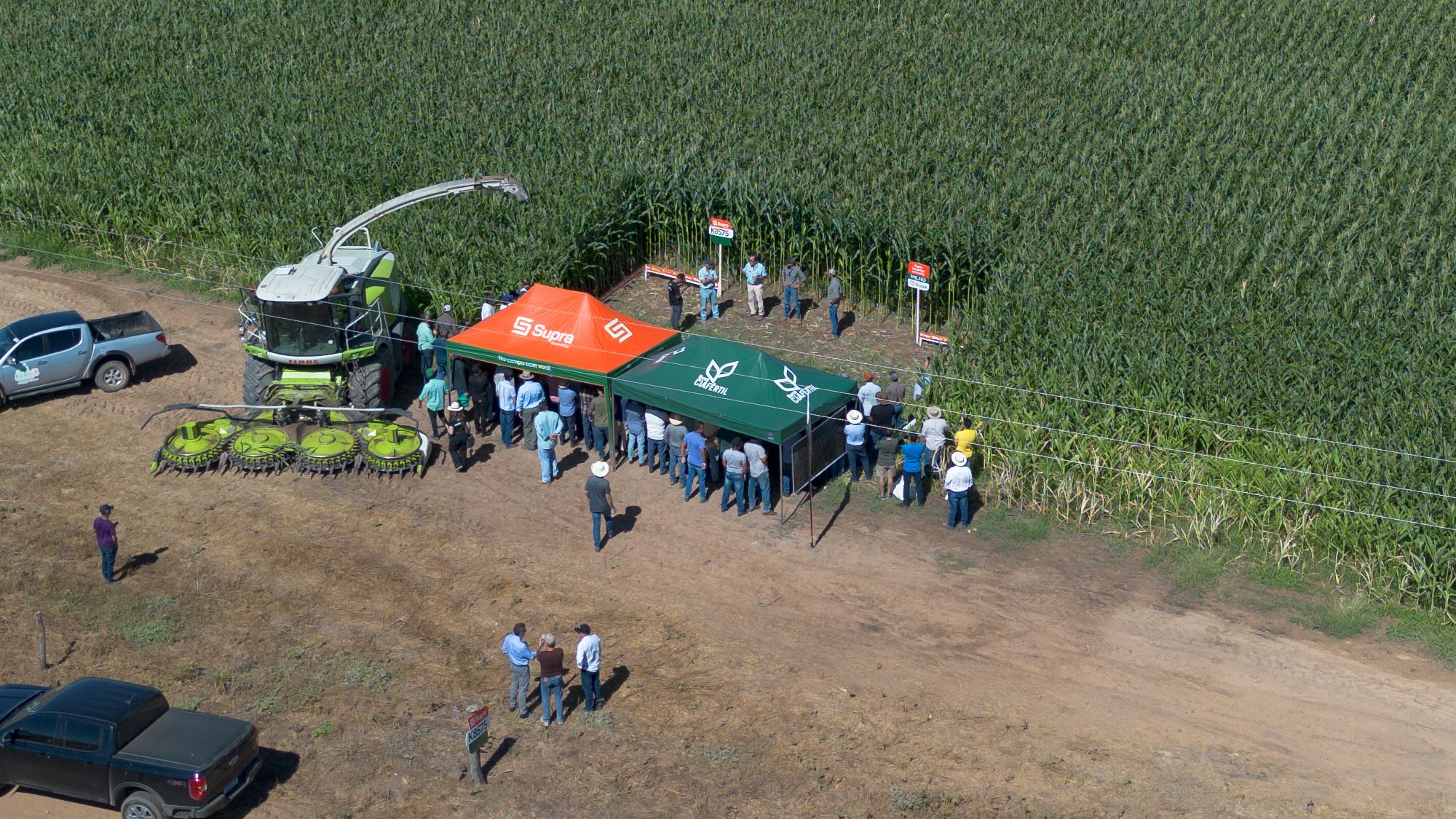 Colhedora em demonstração no milharal durante a dinâmica de campo de uma feira do agronegócio